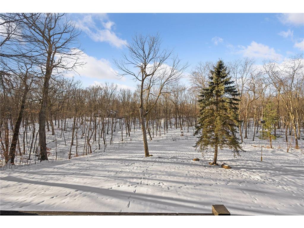 379 Jandel Avenue NE Hanover MN 55341 7013695 image52