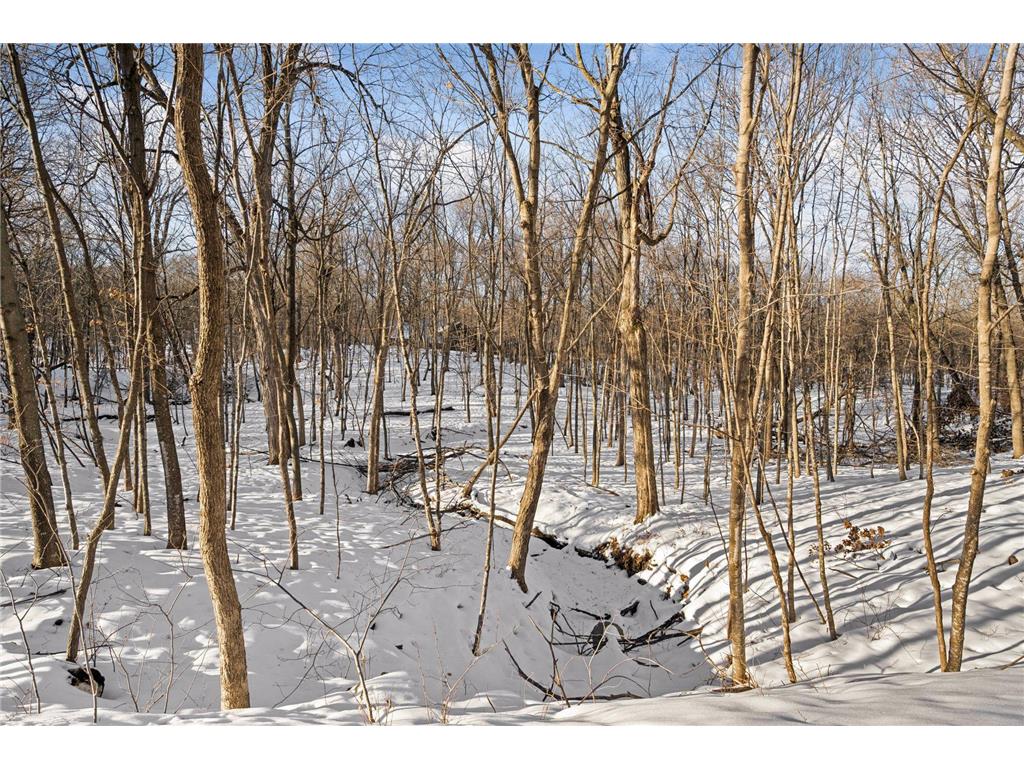 379 Jandel Avenue NE Hanover MN 55341 7013695 image54