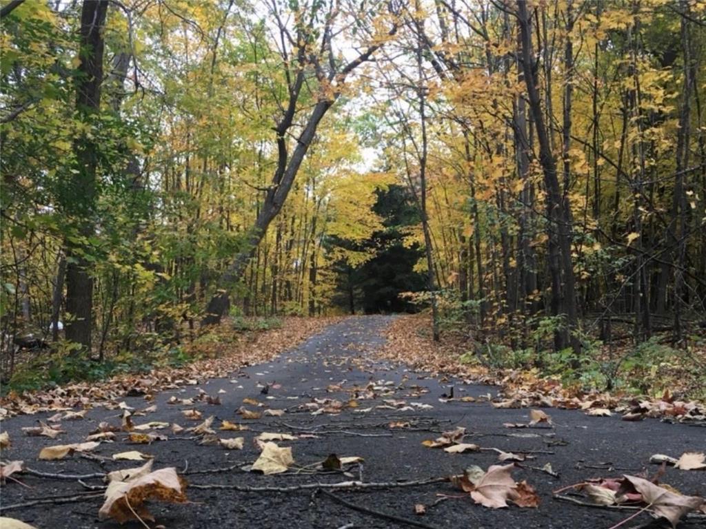 379 Jandel Avenue NE Hanover MN 55341 7013695 image64