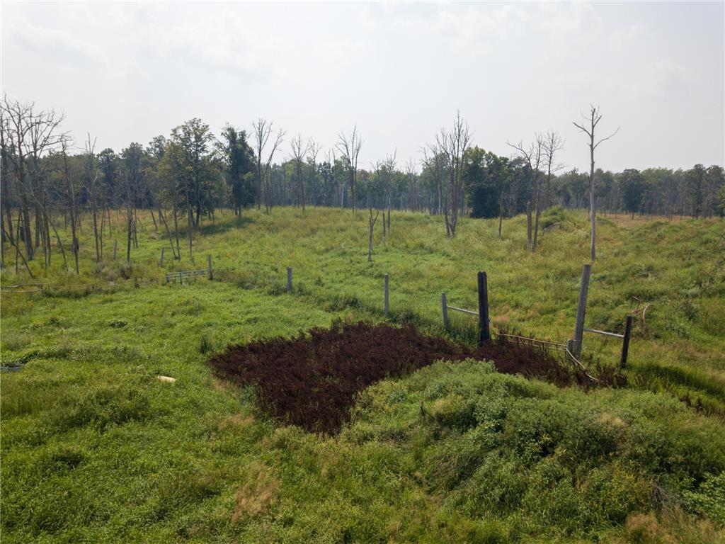 37901 County 91 Lake George MN 56458 6764418 image10