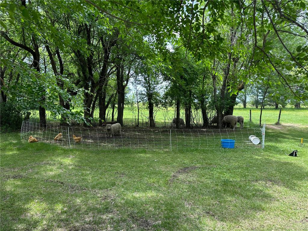 3796 300th Street Cannon Twp MN 56734 6748225 image13