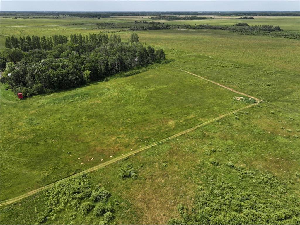 3796 300th Street Cannon Twp MN 56734 6748225 image2