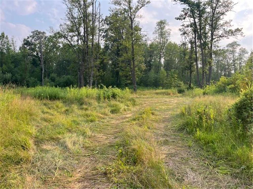 3797 Highway 65 Isle MN 56342 6762612 image1