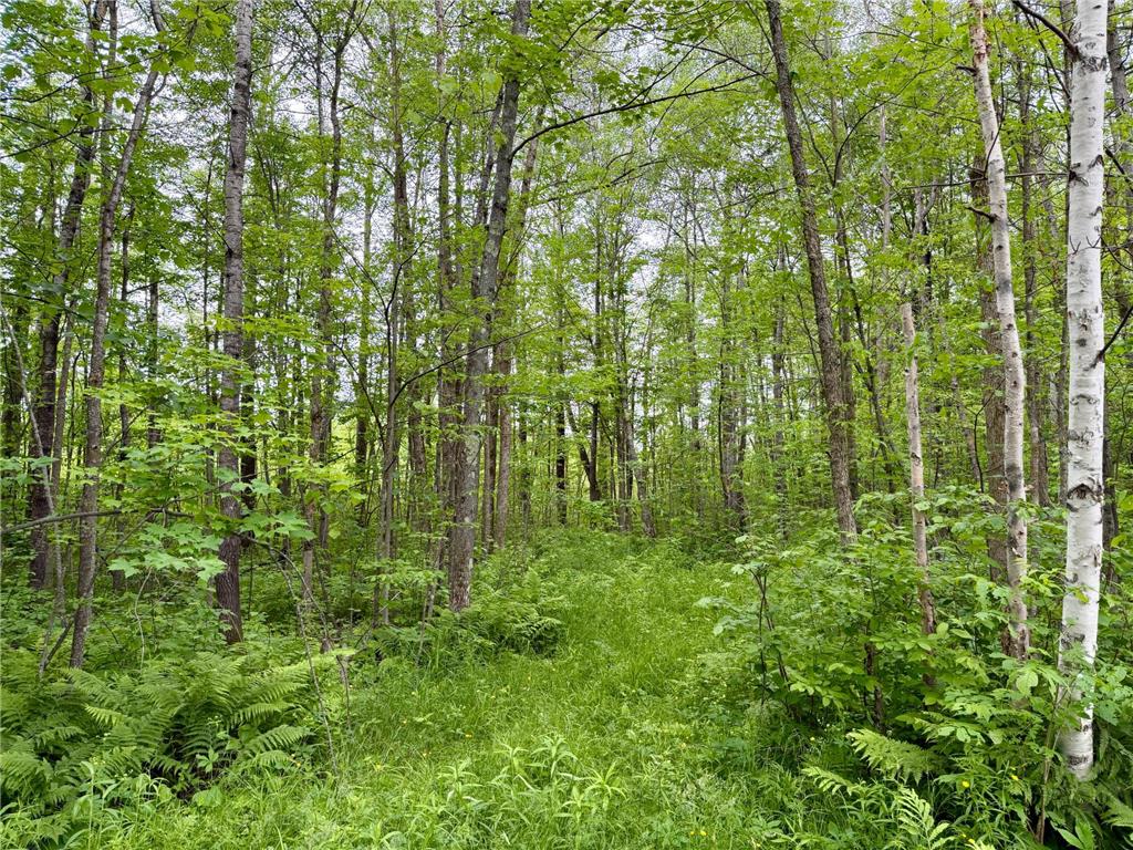 3799 County Road 132 Silver Twp MN 55757 7096635 image33