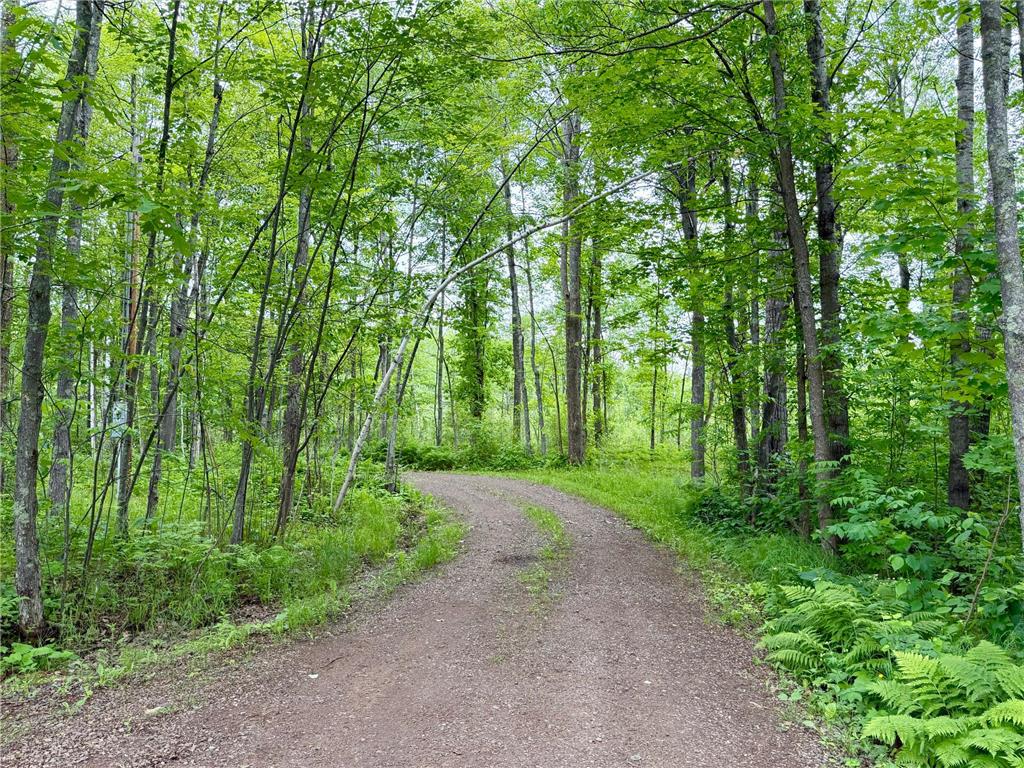 3799 County Road 132 Silver Twp MN 55757 7096635 image34