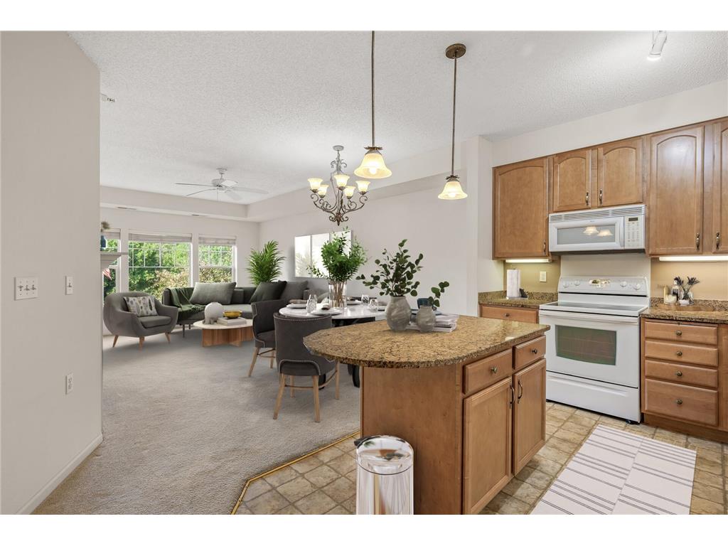 3800 85th Avenue N #201 Brooklyn Park MN 55443 6575975 image1