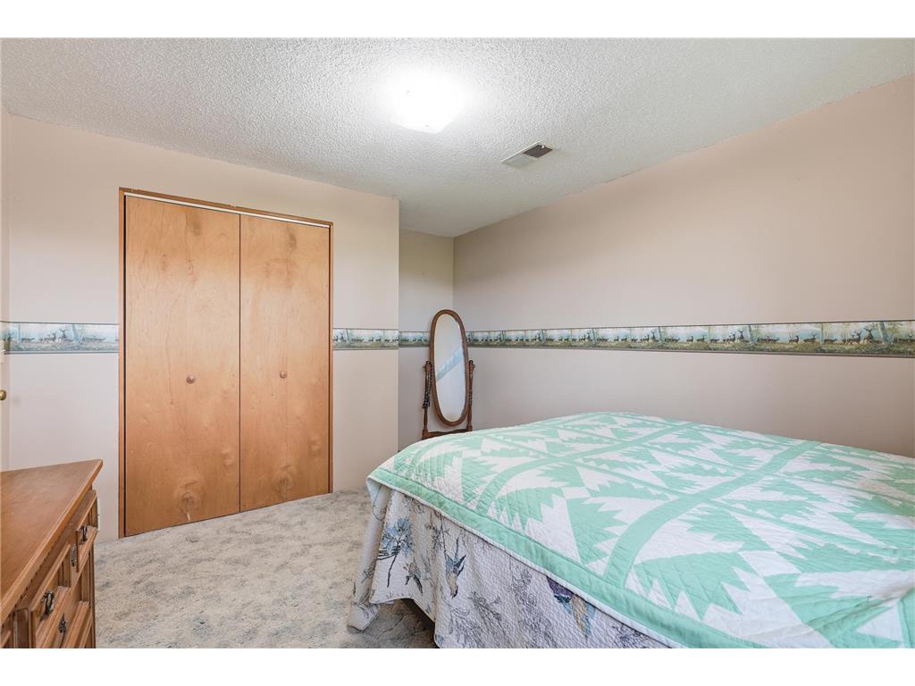 38018 260th Street Arlington Twp MN 55307 7029949 image21