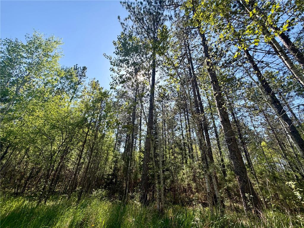 3805 Fraser Road Cherry Twp MN 55751 7079402 image14