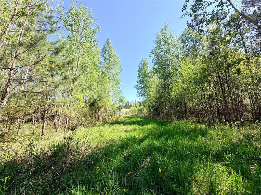 3805 Fraser Road Cherry Twp MN 55751 7079402 image21