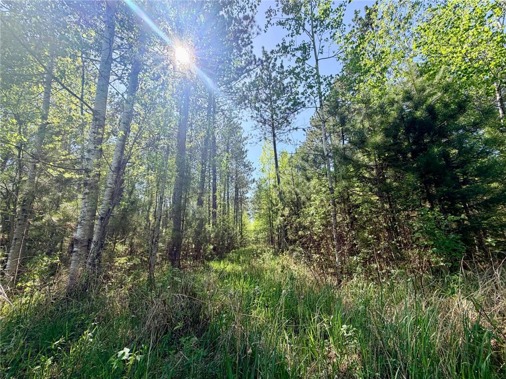 3805 Fraser Road Cherry Twp MN 55751 7079402 image22