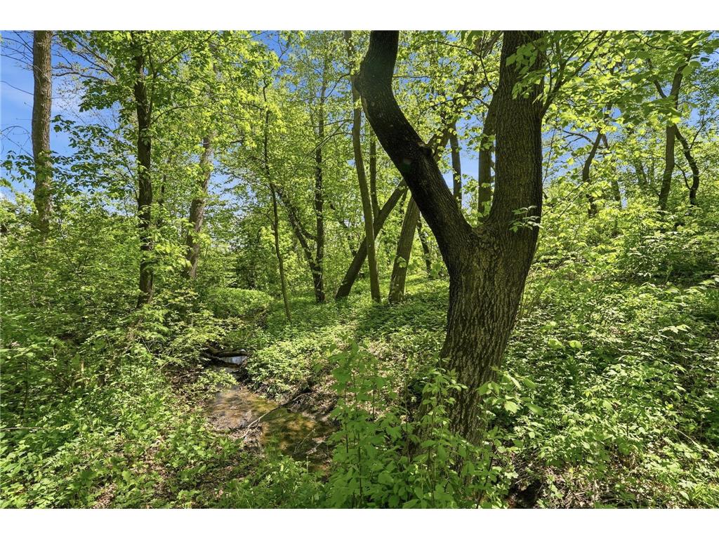3807 Rosewood Lane SE Alexandria MN 56308 - Burgen 7079176 image23