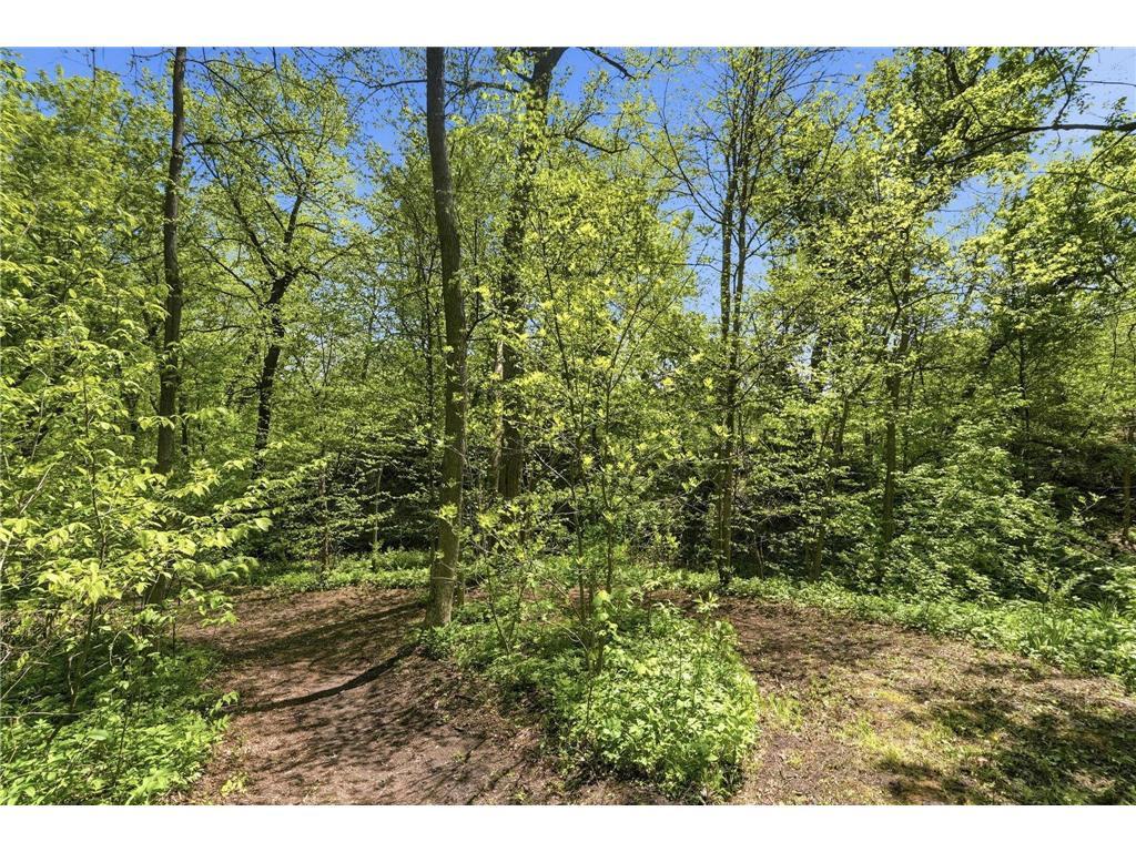 3807 Rosewood Lane SE Alexandria MN 56308 - Burgen 7079176 image24