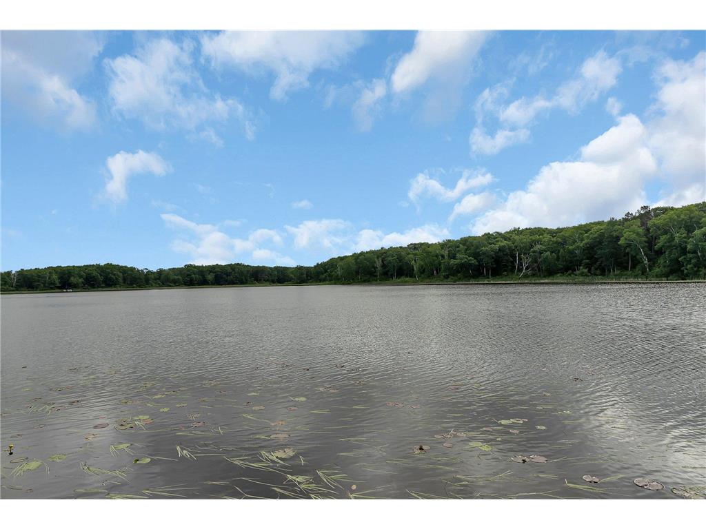 38071 248th Street Hillman MN 56338 - Skunk Lake 7021418 image104