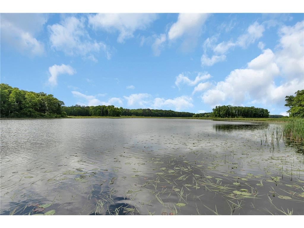 38071 248th Street Hillman MN 56338 - Skunk Lake 7021418 image105