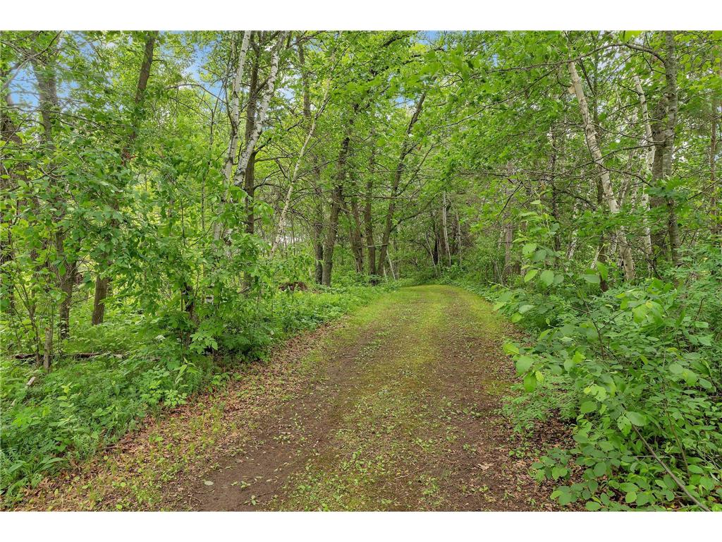 38071 248th Street Hillman MN 56338 - Skunk Lake 7021418 image117