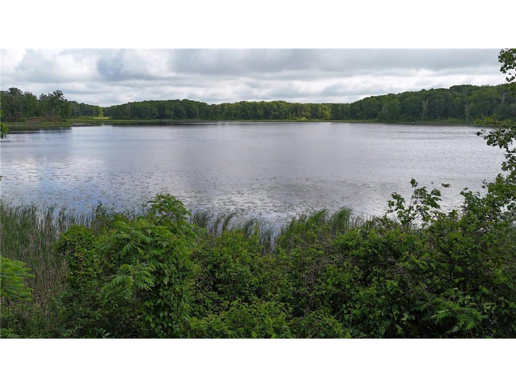 38071 248th Street Hillman MN 56338 - Skunk Lake 7021418 image123