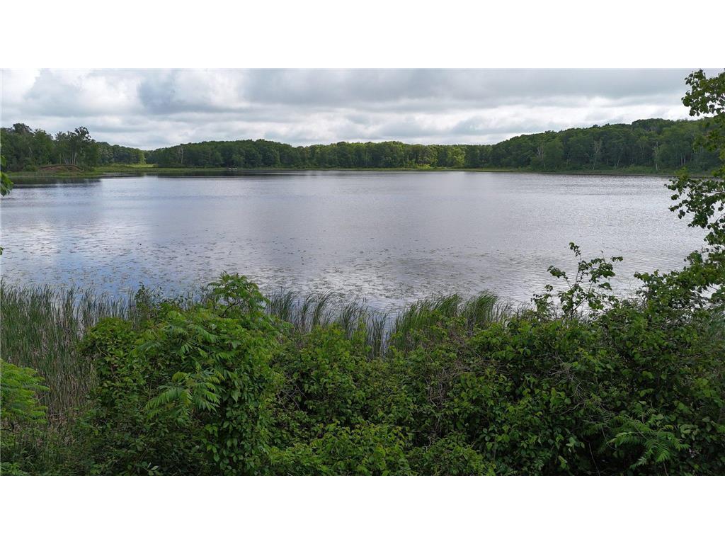 38071 248th Street Hillman MN 56338 - Skunk Lake 7021418 image124