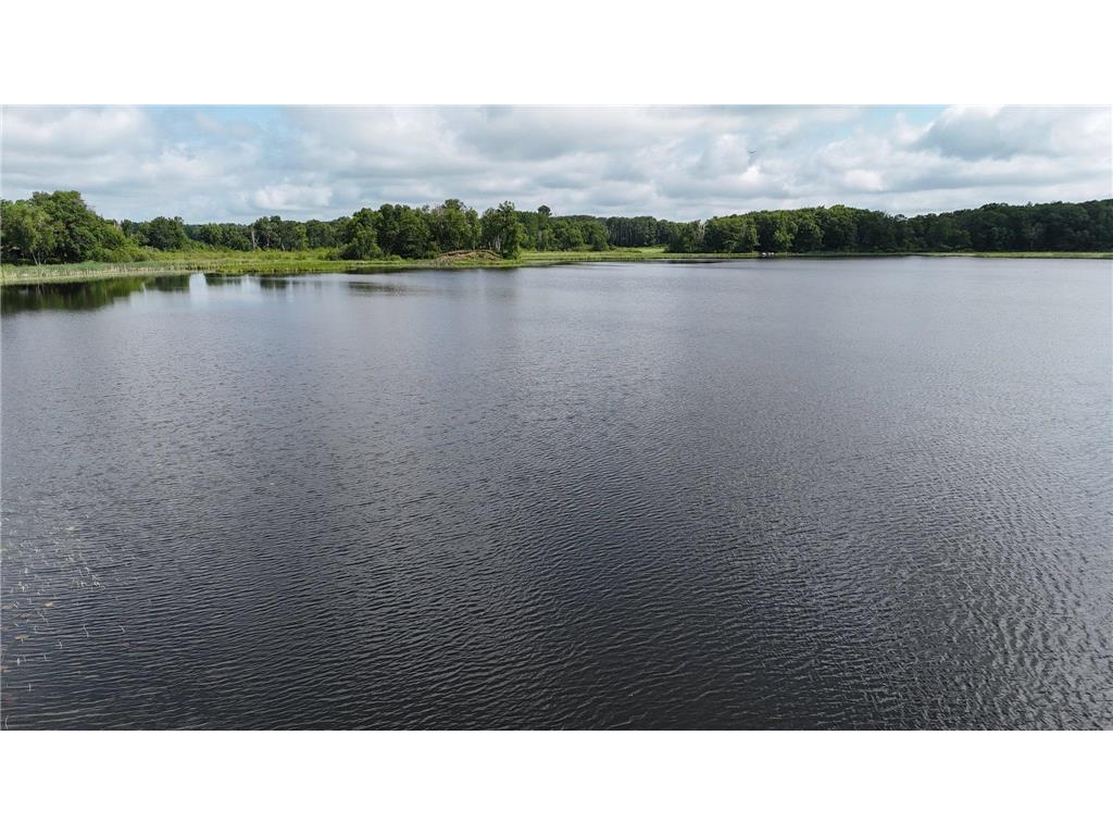 38071 248th Street Hillman MN 56338 - Skunk Lake 7021418 image147