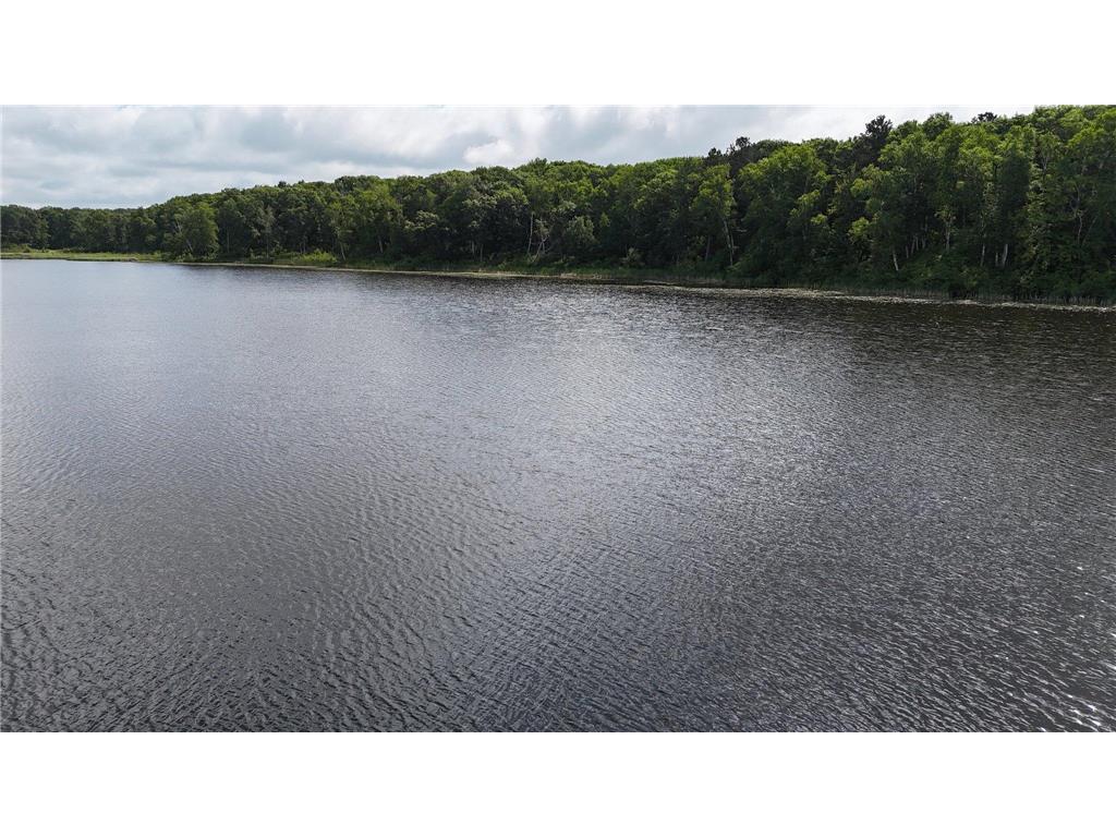 38071 248th Street Hillman MN 56338 - Skunk Lake 7021418 image148