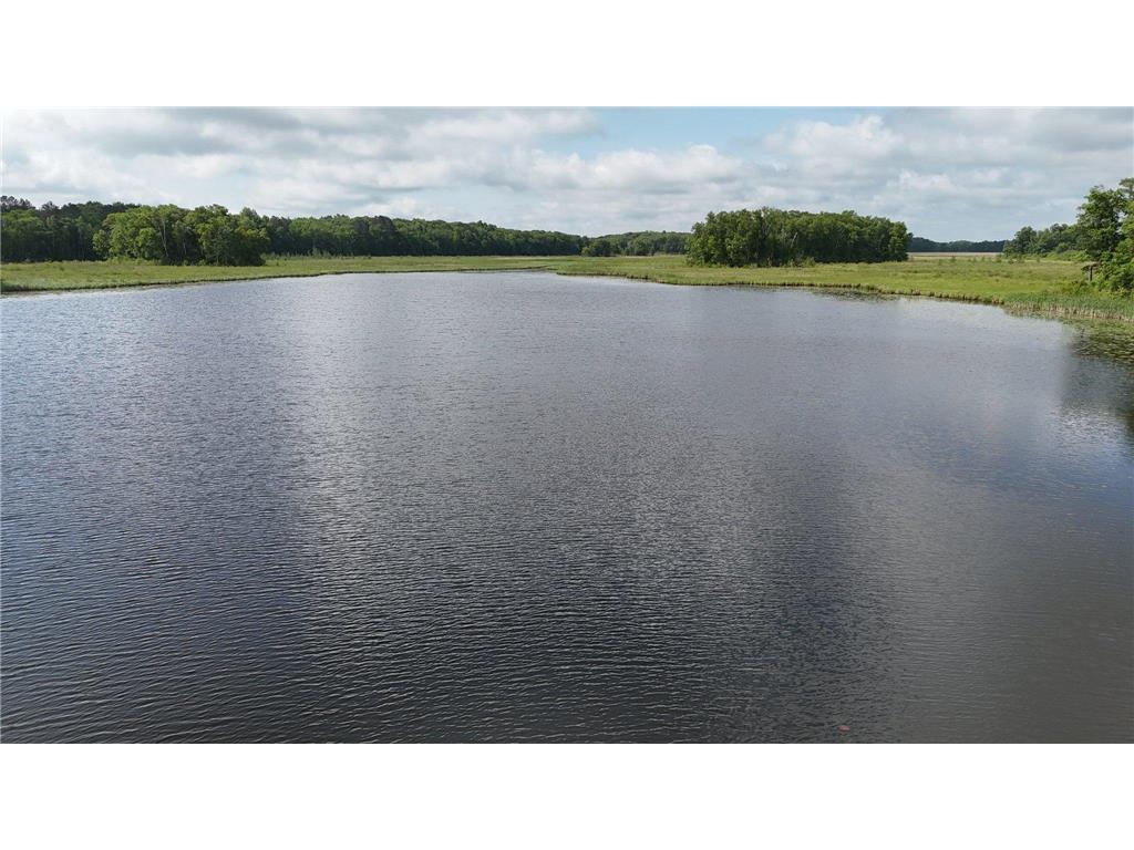 38071 248th Street Hillman MN 56338 - Skunk Lake 7021418 image149