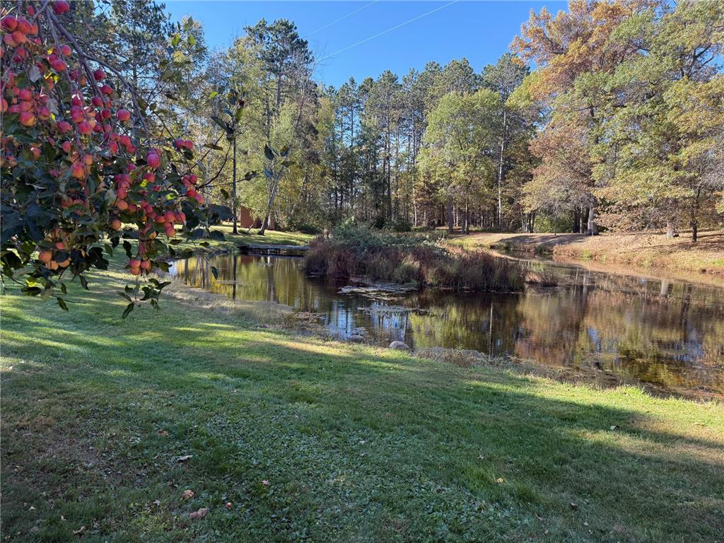 38071 248th Street Hillman MN 56338 - Skunk Lake 7021418 image39