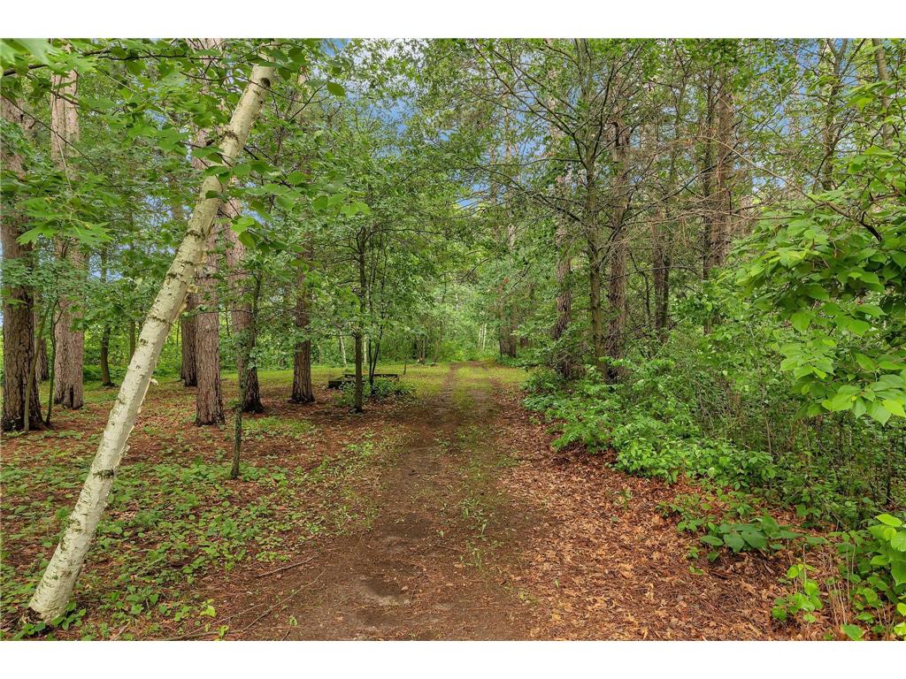 38071 248th Street Hillman MN 56338 - Skunk Lake 7021418 image87