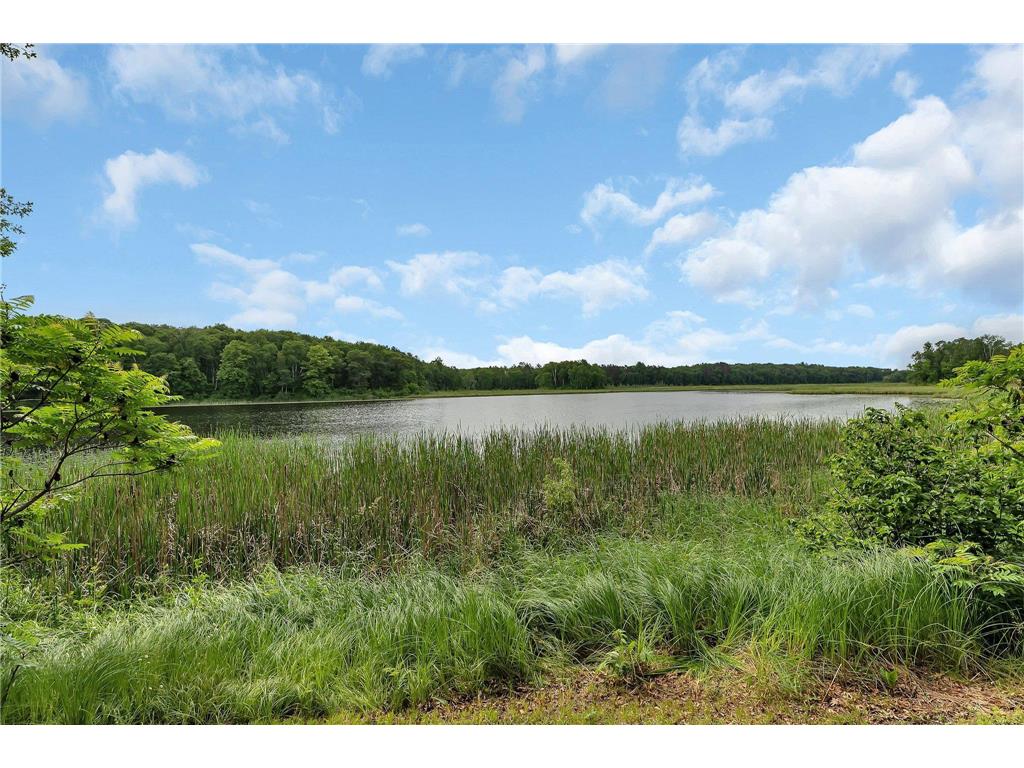 38071 248th Street Hillman MN 56338 - Skunk Lake 7021418 image96