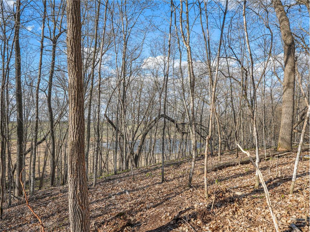 380XX 280th Ave [M] Dent MN 56528 7074650 image10