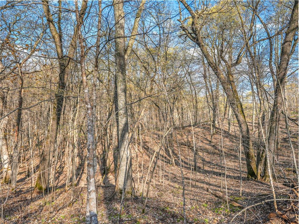 380XX 280th Ave [M] Dent MN 56528 7074650 image12