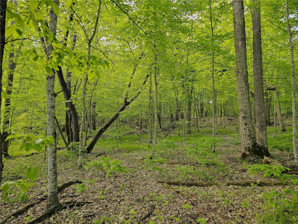 380XX 280th Ave [M] Dent MN 56528 7074650 image13
