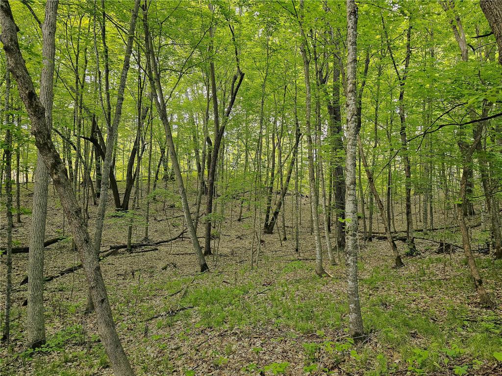 380XX 280th Ave [M] Dent MN 56528 7074650 image14