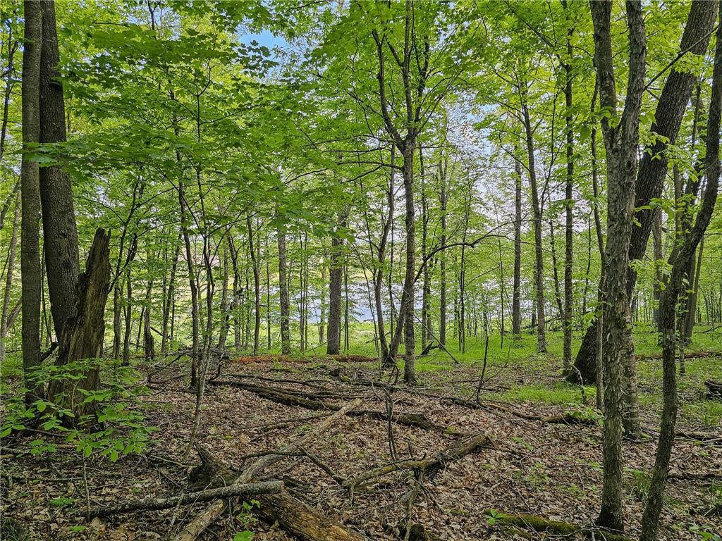 380XX 280th Ave [M] Dent MN 56528 7074650 image15