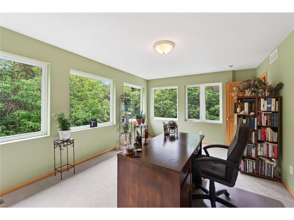 381 Del Rio Drive Chanhassen MN 55317 - Lotus Lake 7081455 image10
