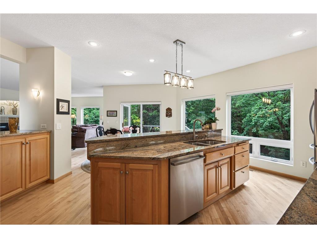 381 Del Rio Drive Chanhassen MN 55317 - Lotus Lake 7081455 image28