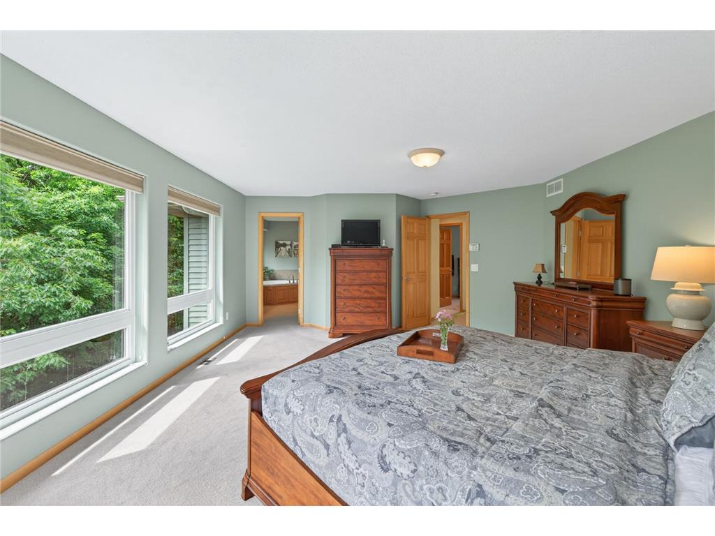 381 Del Rio Drive Chanhassen MN 55317 - Lotus Lake 7081455 image41