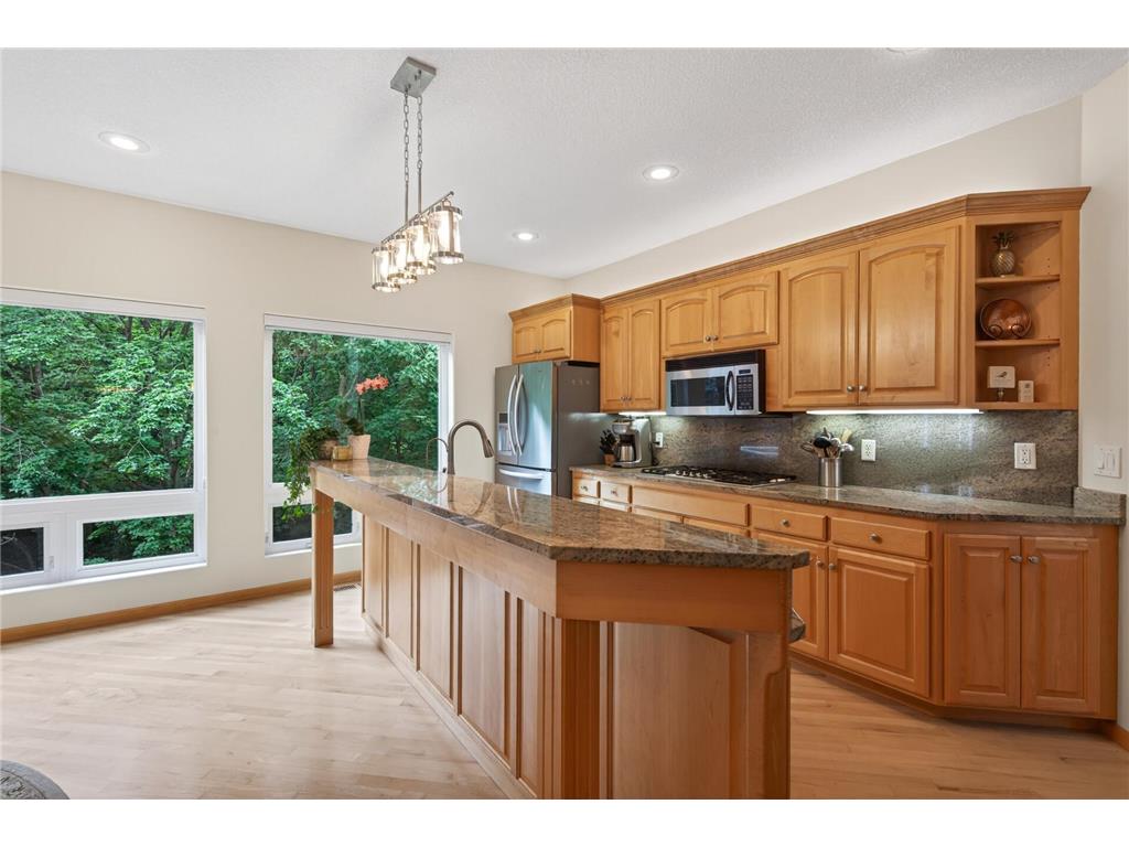 381 Del Rio Drive Chanhassen MN 55317 - Lotus Lake 7081455 image5