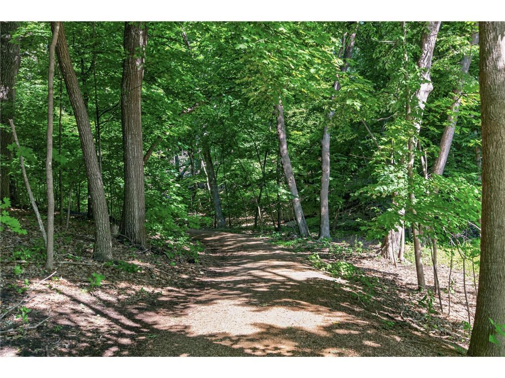 381 Del Rio Drive Chanhassen MN 55317 - Lotus Lake 7081455 image92