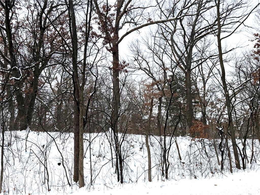 381 Totem Road Saint Paul MN 55119 6822157 image3