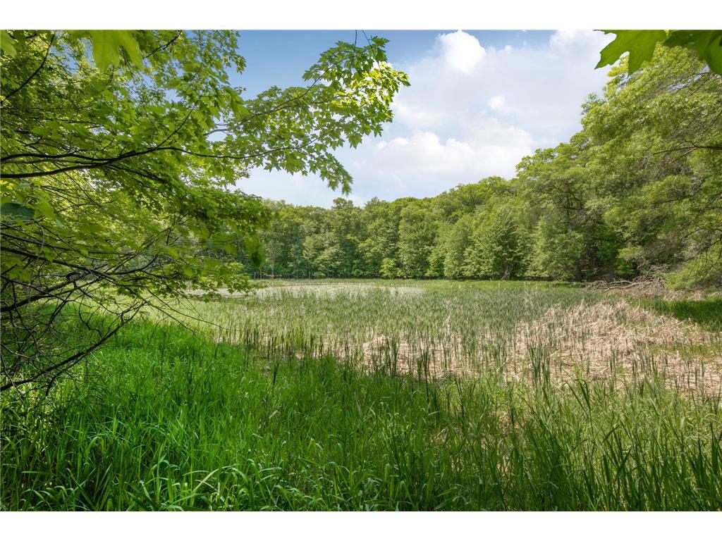 38151 Wilderness Court Sartell MN 56377 7081166 image47