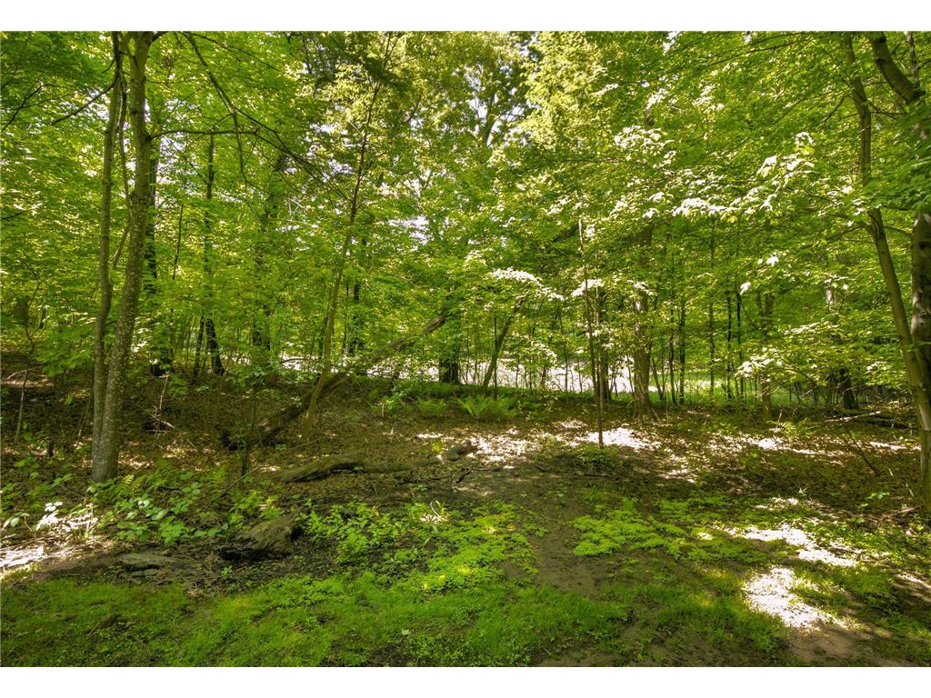 38151 Wilderness Court Sartell MN 56377 7081166 image48