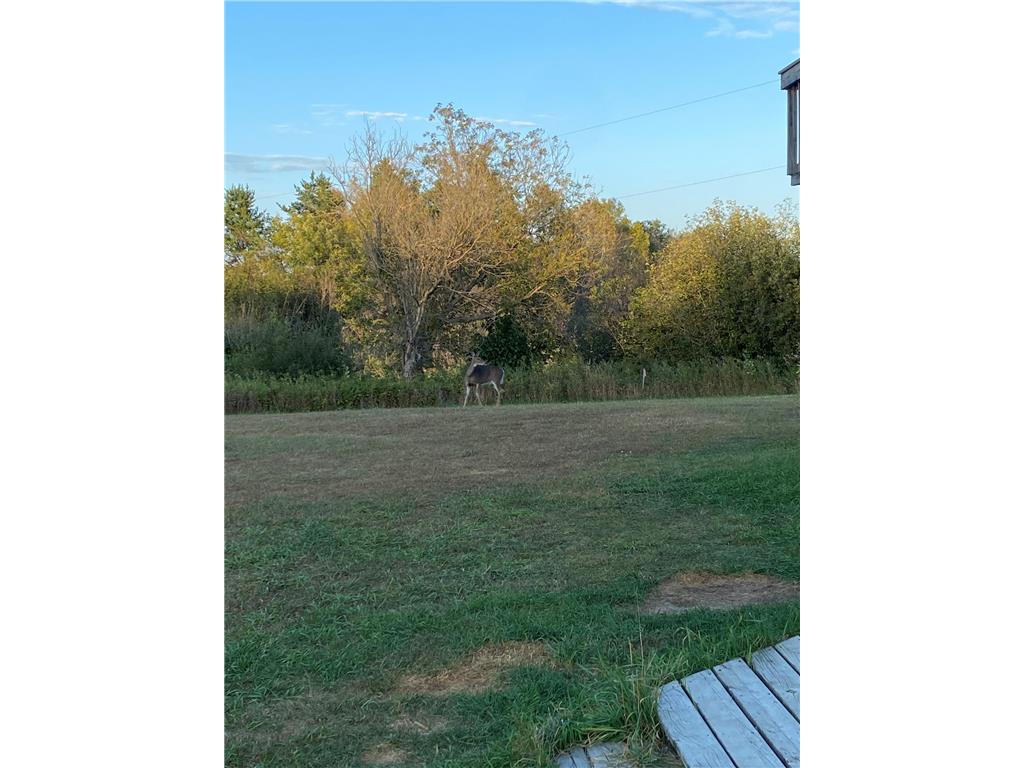 3818 131st Street SW Pillager MN 56473 7054878 image39