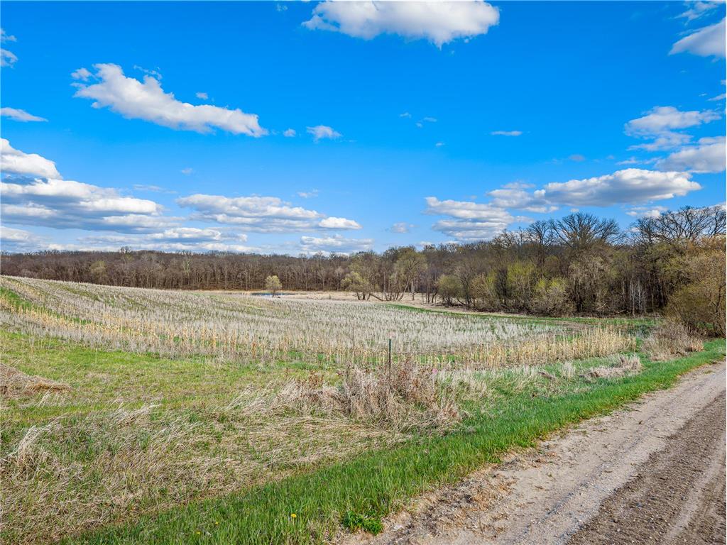 381XX 280th Ave [K] Dent MN 56528 7074649 image9