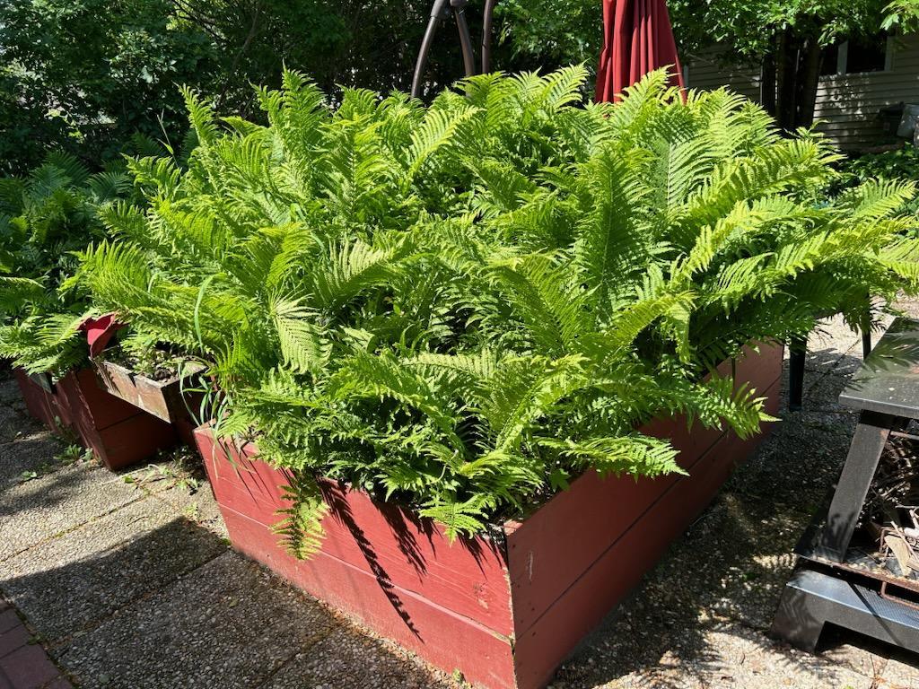 3820 40th Avenue S Minneapolis MN 55406 6820691 image24