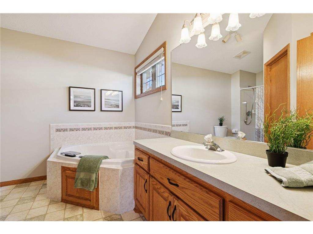 3821 Impatiens Lane N Brooklyn Park MN 55443 6800550 image22