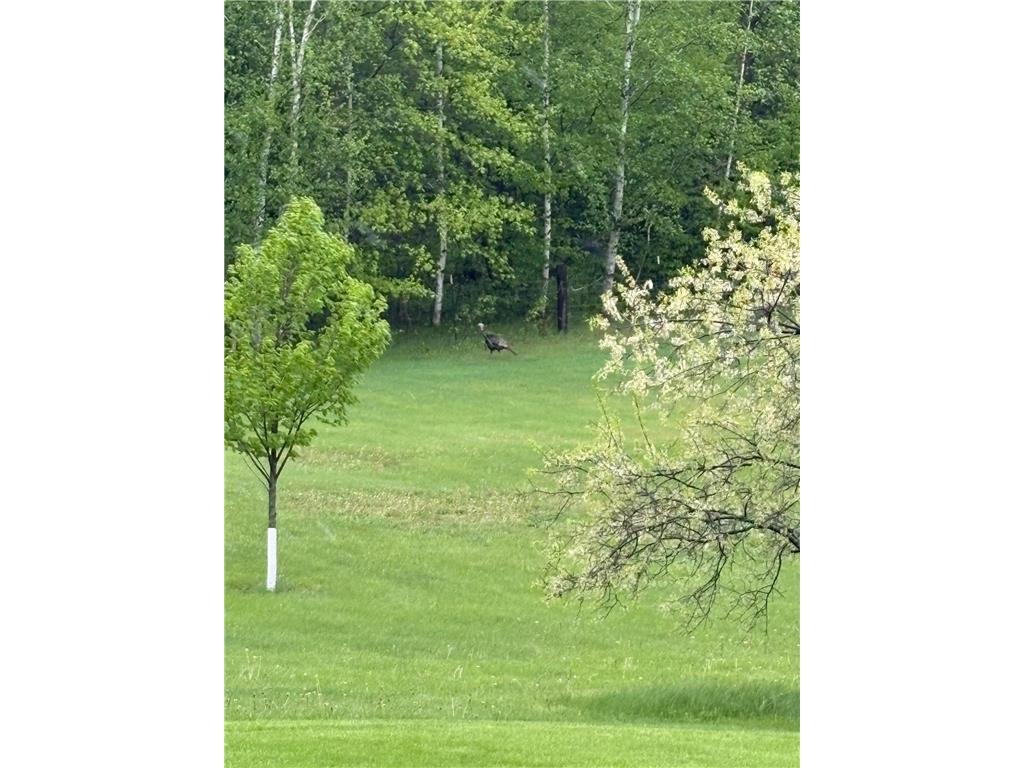 38213 State Highway 87 Frazee MN 56544 7039774 image6