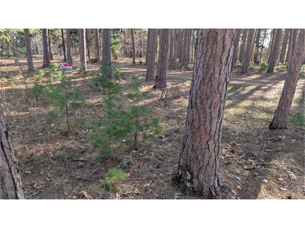 3823 County Road 17 Pequot Lakes MN 56472 - Sibley 6710052 image11