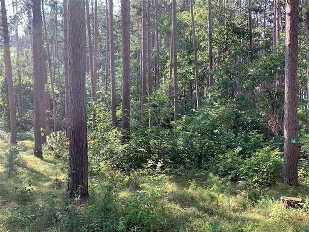 3823 County Road 17 Pequot Lakes MN 56472 - Sibley 6710052 image13