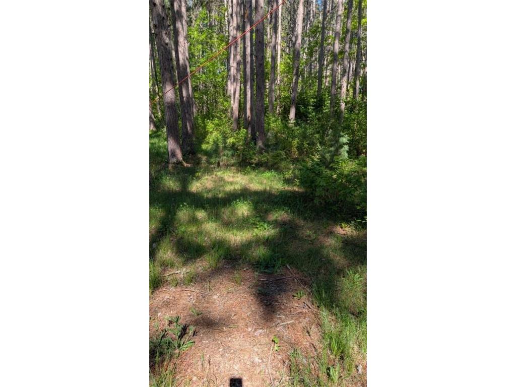 3823 County Road 17 Pequot Lakes MN 56472 - Sibley 6710052 image8