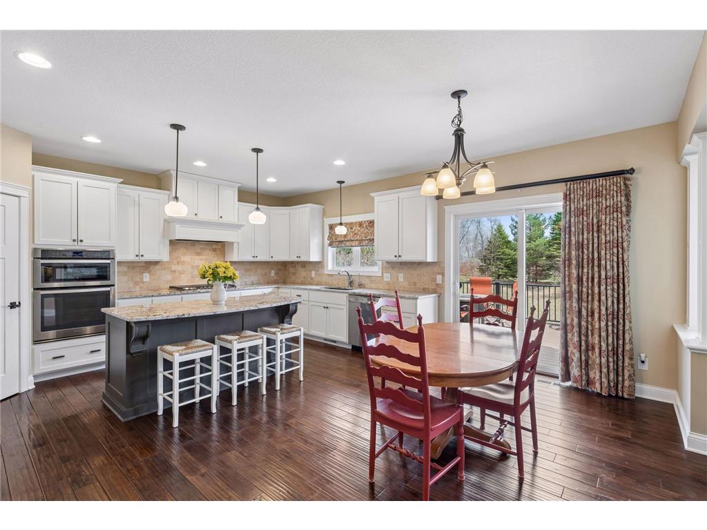 3824 Pascolo Bend Chaska MN 55318 - Bavaria 7056852 image19