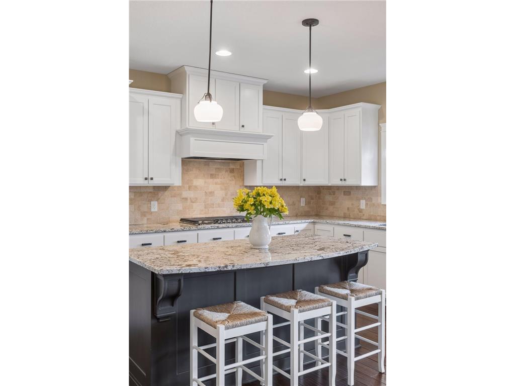 3824 Pascolo Bend Chaska MN 55318 - Bavaria 7056852 image22